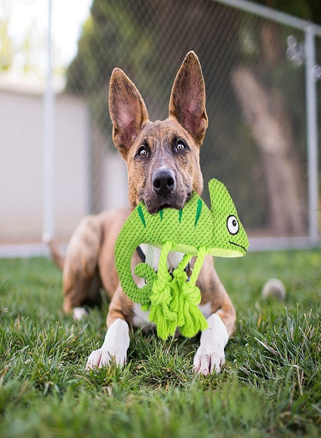 PETANGEL ألعاب PETANGEL 2022 القطيفة على شكل كلب تصدر صوتاً، ألعاب مضغ متينة من الحبل للكلاب الصغيرة والمتوسطة الحجم لتنظيف أسنانها، ألعاب حيوانات محشوة تفاعلية - حرباء لطيفة - Image 5